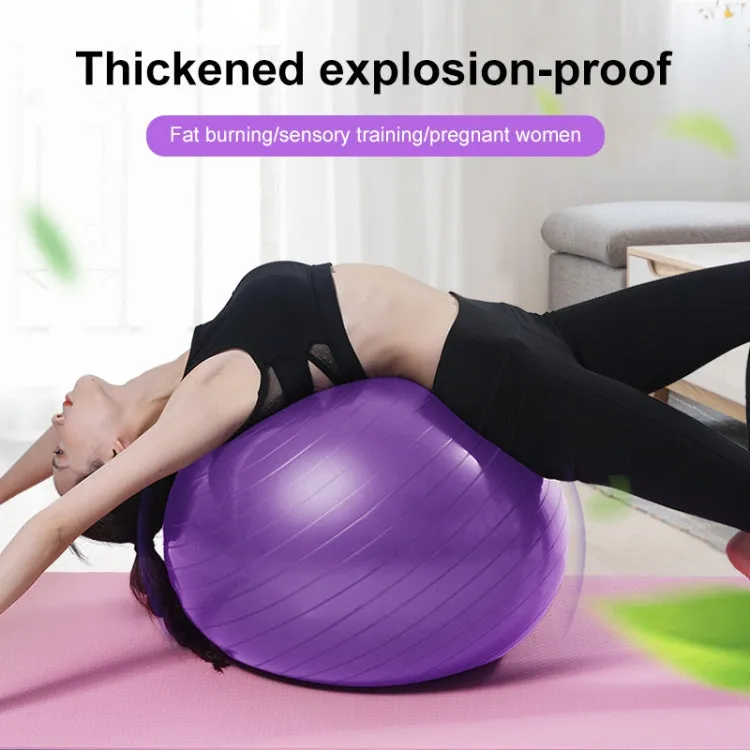 Thickening Explosion-proof Big Yoga Ball Sport Fitness Ball Environmental Pregnant Yoga Ball, Diameter: 65cm(Purple)